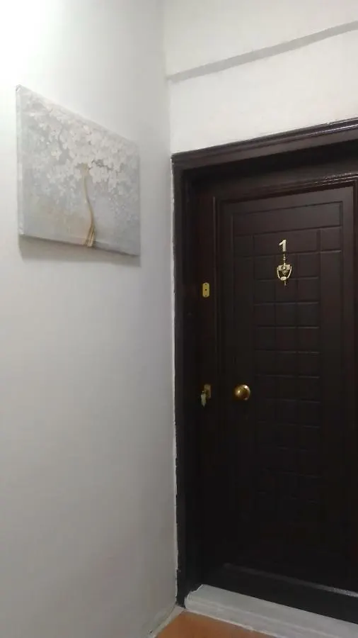 Istiklal Caddesi Ve Taksim Yuruyerek 1 Dakika. Apartment Istanbul
